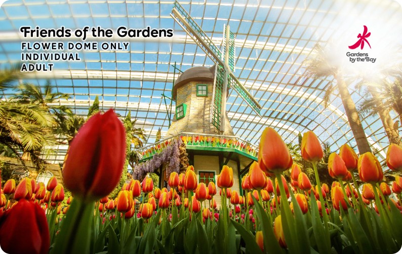 Friends of the Gardens